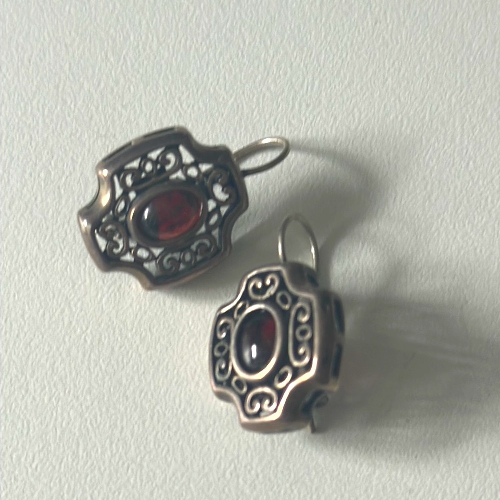Elegant Silver and Red Earrings